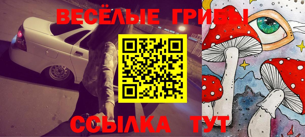 Галлюциногенные грибы Cubensis Людиново